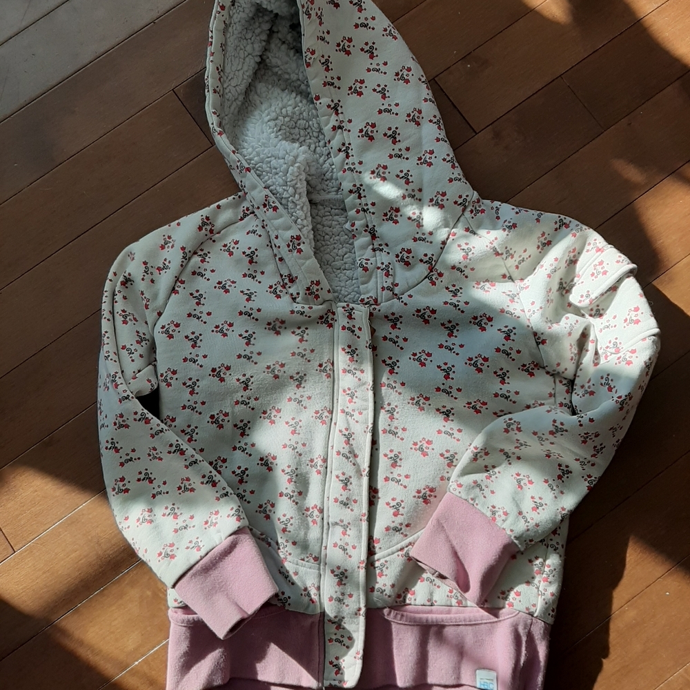 Roots Olympic hoodie